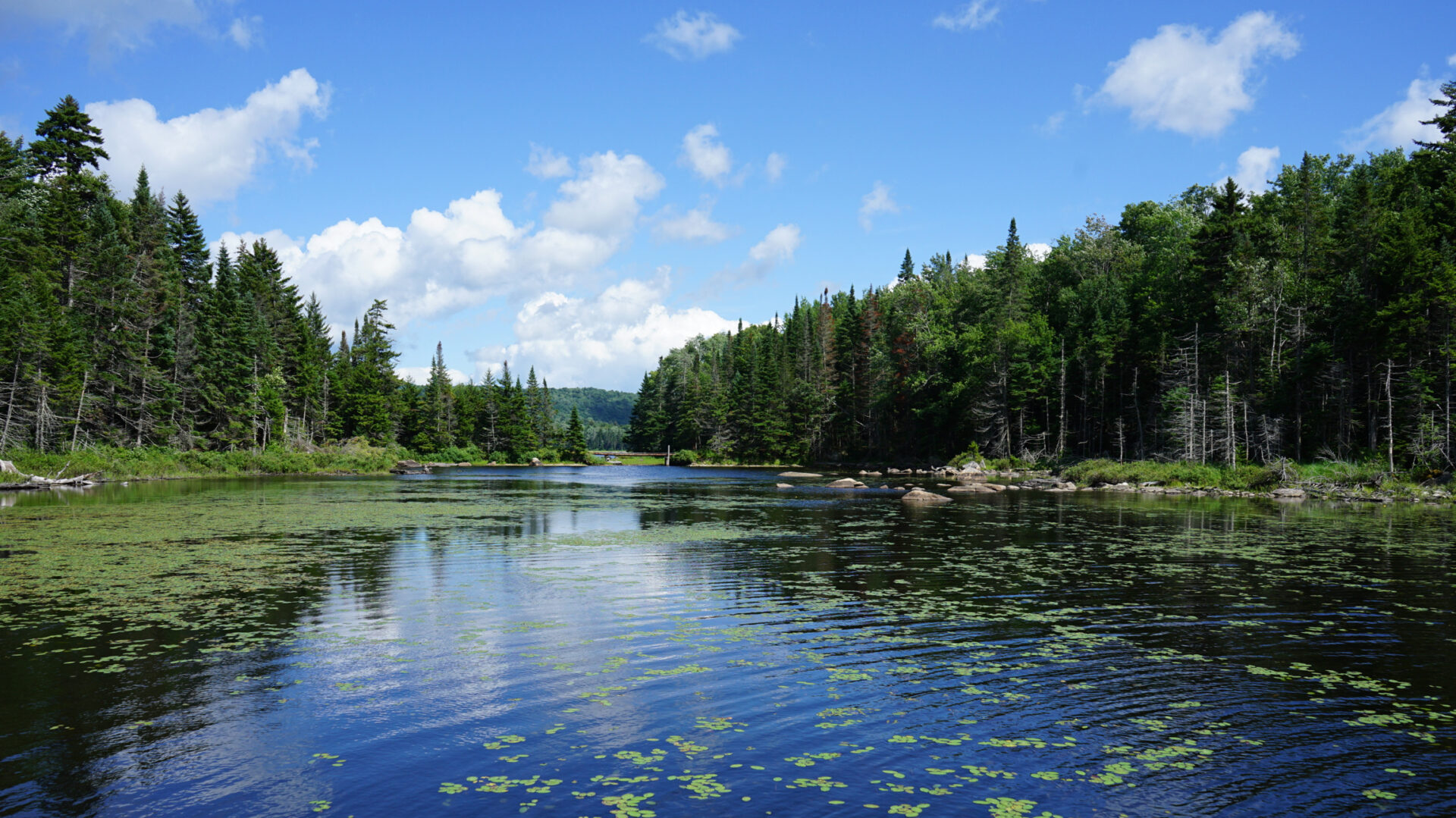 Northville-Lake Placid Trail