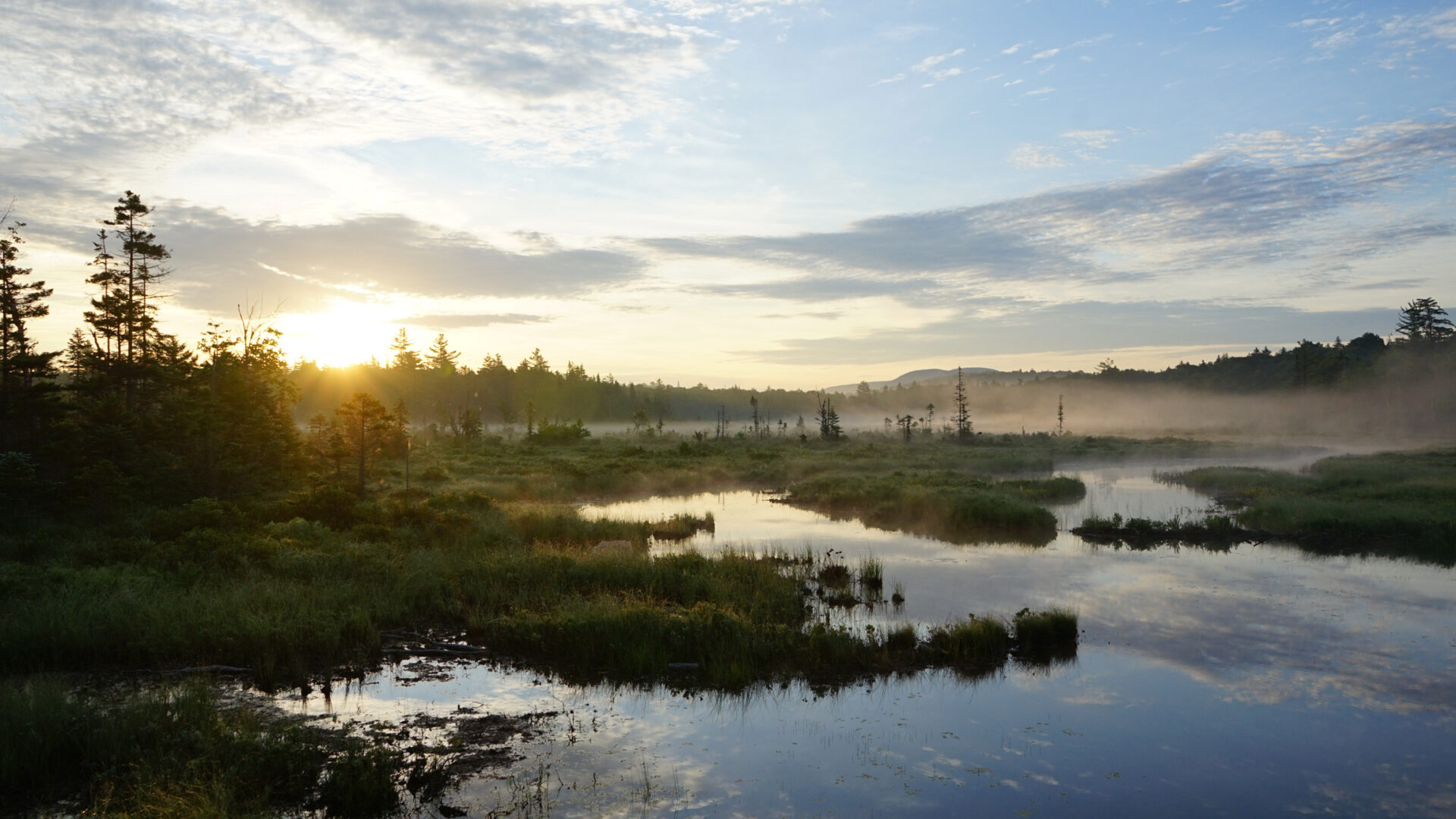 Month: <span>October 2018</span>