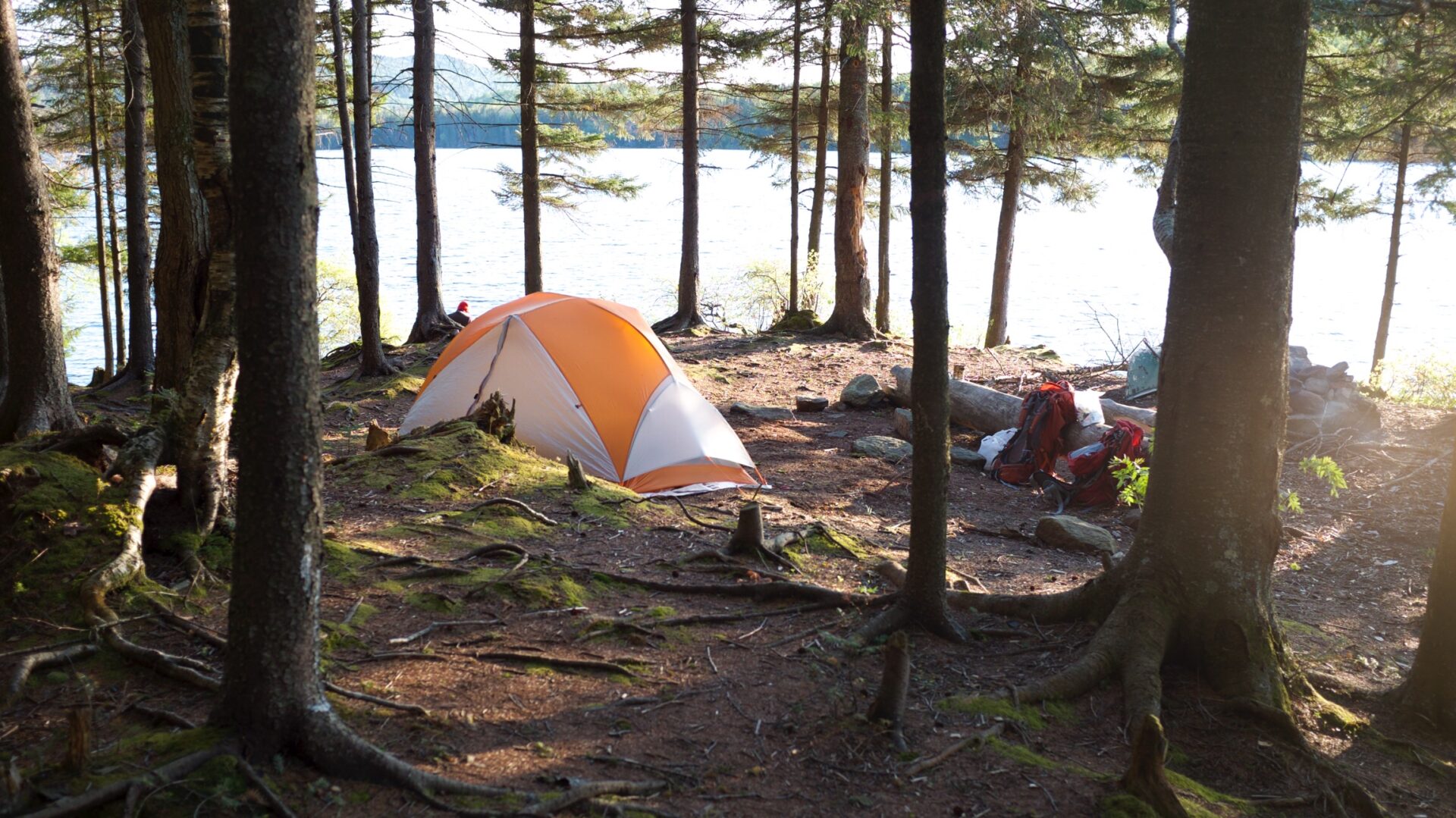 New NPT Reroute in the Works