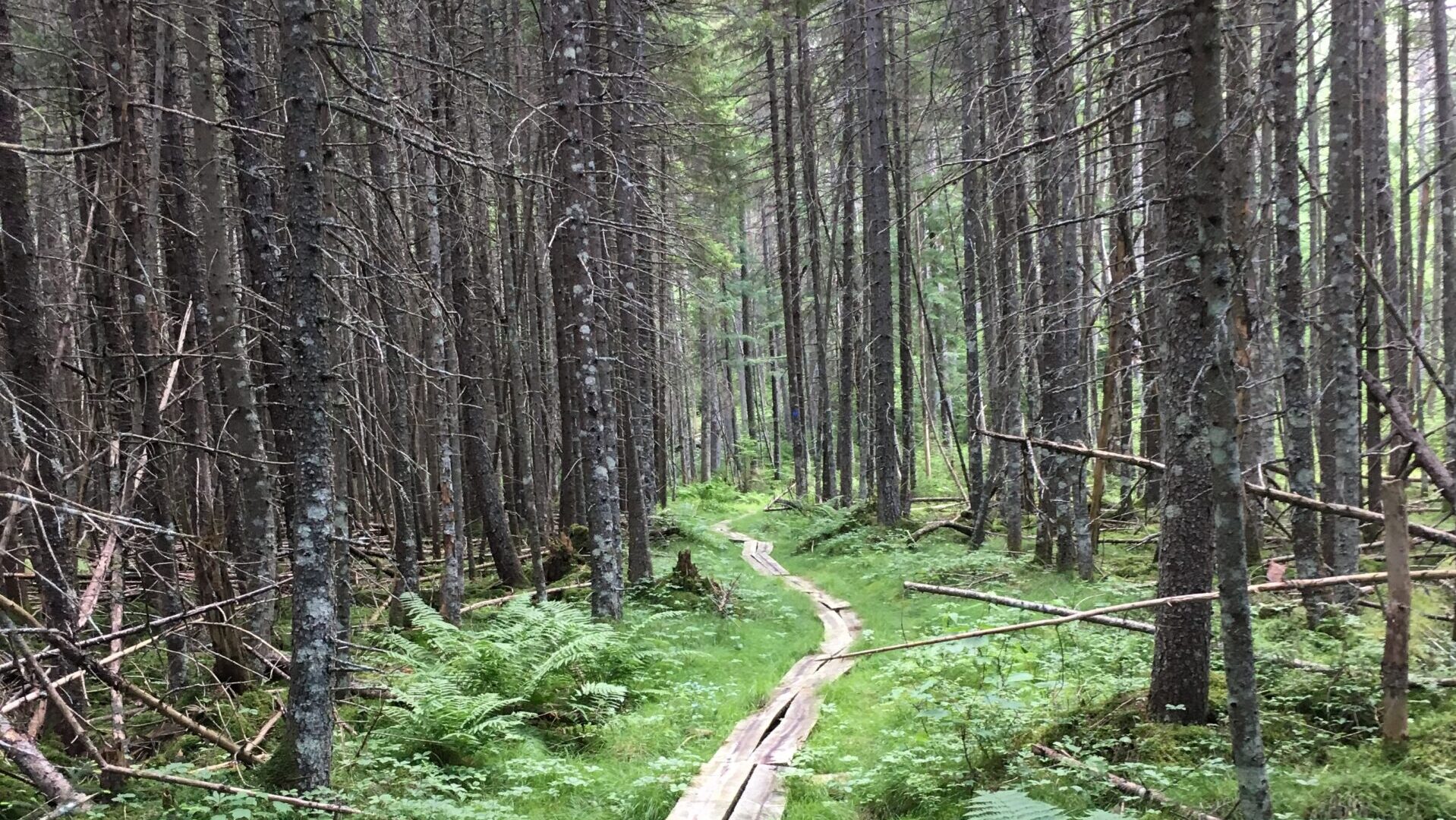 Northville-Lake Placid Trail