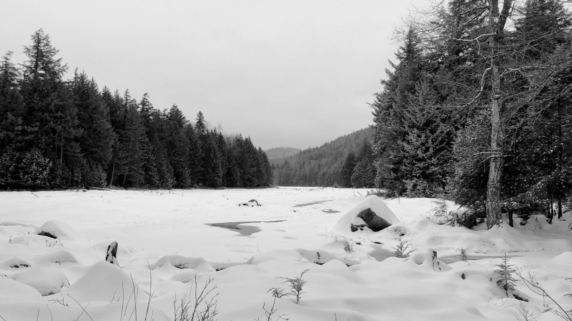 Northville-Lake Placid Trail