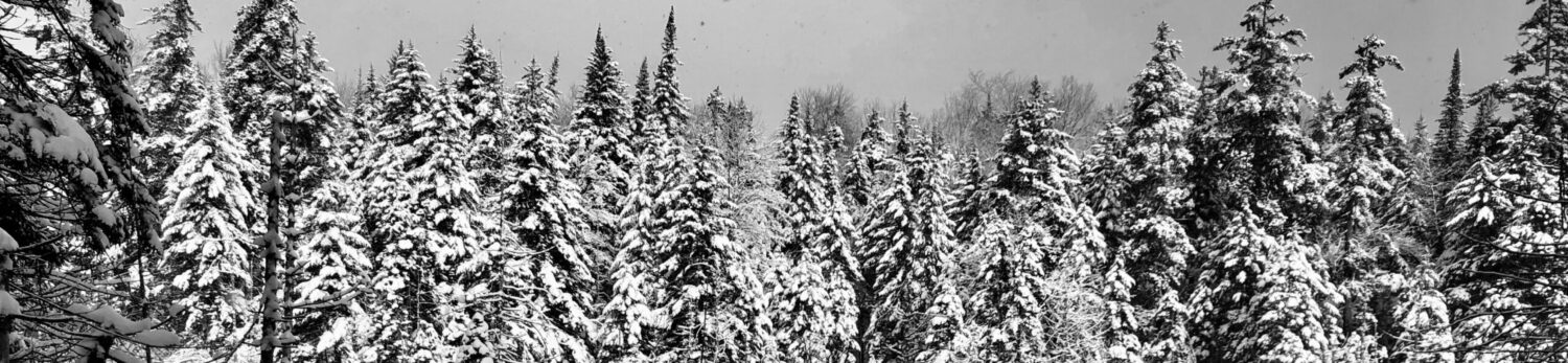 Northville-Lake Placid Chapter of ADK