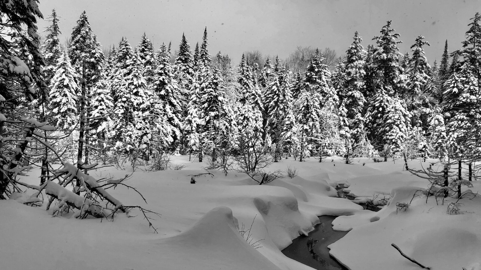 Northville-Lake Placid Trail